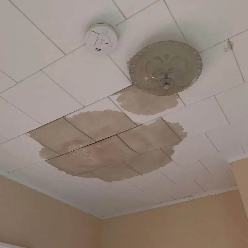 Ceiling Water Damage Repair in Runge, TX