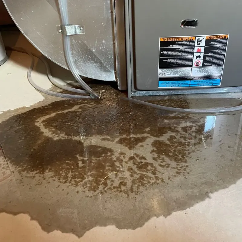 Pipe Burst and Leak Restoration in Runge, TX