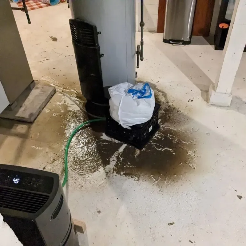 Sewage Backup Cleanup Service in Runge, TX